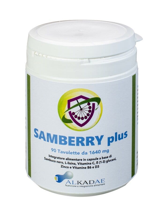 SAMBERRY PLUS 90TAV-2