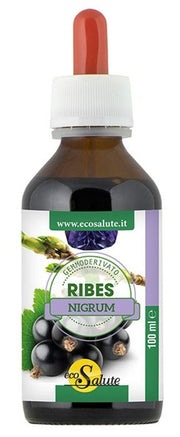GROSELLA NIGRUM GEMMODERIV 100ML-1