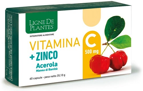 VITAMINA C 500MG + ZI/AC/BA60CPS-1