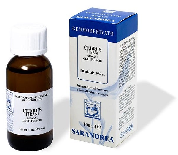 EXTRAGEM CEDAR LÍBANO JÓVENES-1
