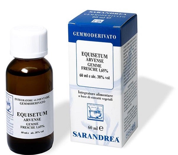 EXTRAGEMA EQUISETO GEMME 20ML-1