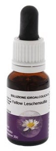 LESCHENAULTIA AMARILLA 15ML AUST-1