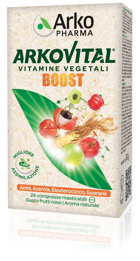 Arkovital Boost 24 comprimidos