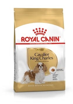 Royal Canin Cavalier King Charles Pienso Seco para Perros Adultos 7,5kg-1