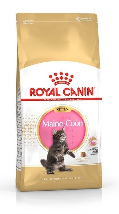 Royal Canin Kitten Maine Coon Croquetas para Gatitos Bolsa 2kg-1