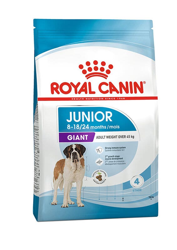 SHN GIANT JUN,PUPPY 3,5KG-2