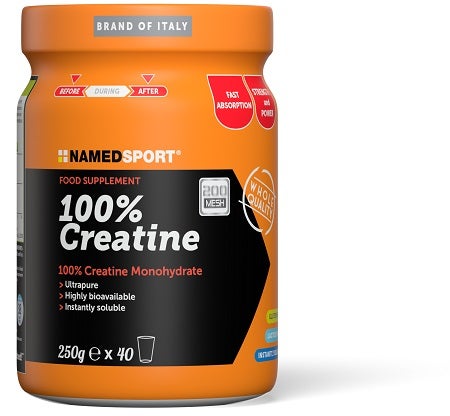 Named Sport 100 % Creatina 250 g