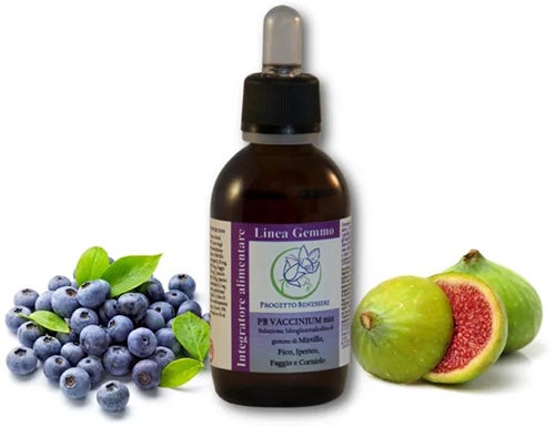 PB VACCINIUM MIX GOTAS 50ML-1