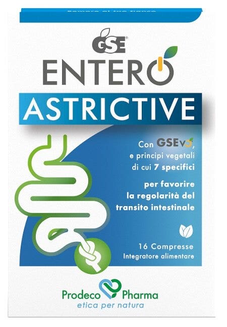 GSE ENTERO ASTRICTIVE 16 comprimidos