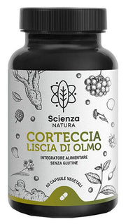 CORTECCIA LISCIA DI OLMO 60CPS