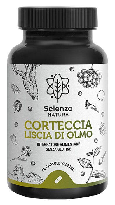 CORTECCIA LISCIA DI OLMO 60CPS
