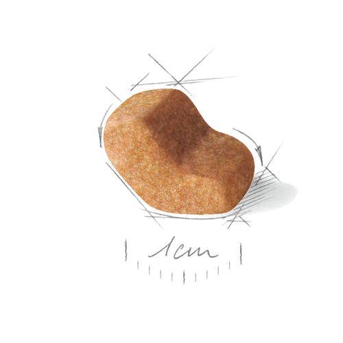 Royal Canin Croquetas Para Perros Shih Tzu Adultos Bolsa 1,5kg-2