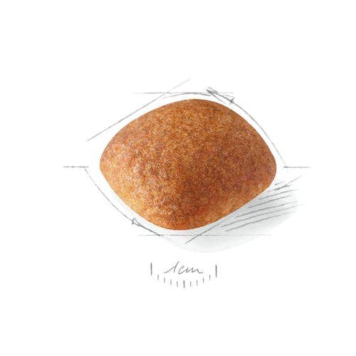 Royal Canin Croquetas Para Perros Golden Retriever Adultos Bolsa 12 kg-2