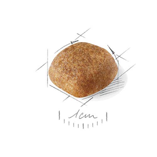 Royal Canin Croquetas para Perros Cavalier King Charles Adultos Bolsa de 1,5kg-2