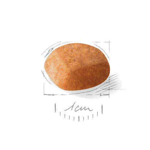 Royal Canin Croquetas Para Perros Cachorros Golden Retriever Bolsa 12 Kg-3