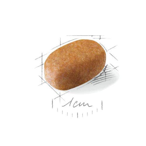 Royal Canin Croquetas Para Perros Malteses Adultos Bolsa 500g-2