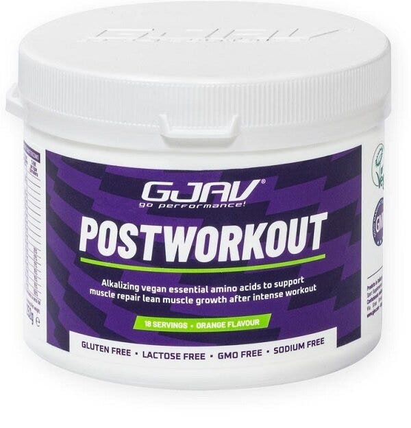 GJAV POST ENTRENAMIENTO NARANJA 560G-1