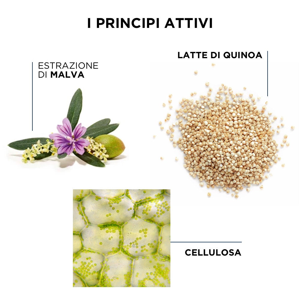 Phyto Phytospecific Curl Legend Daily Spray Revive los rizos 150ml-4