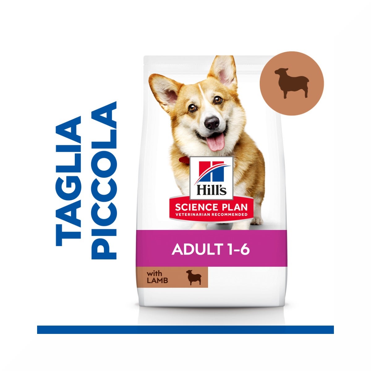 Hill's Science Plan Small & Mini Adult Crocchette con Agnello e Riso per Cani Sacco 6 Kg