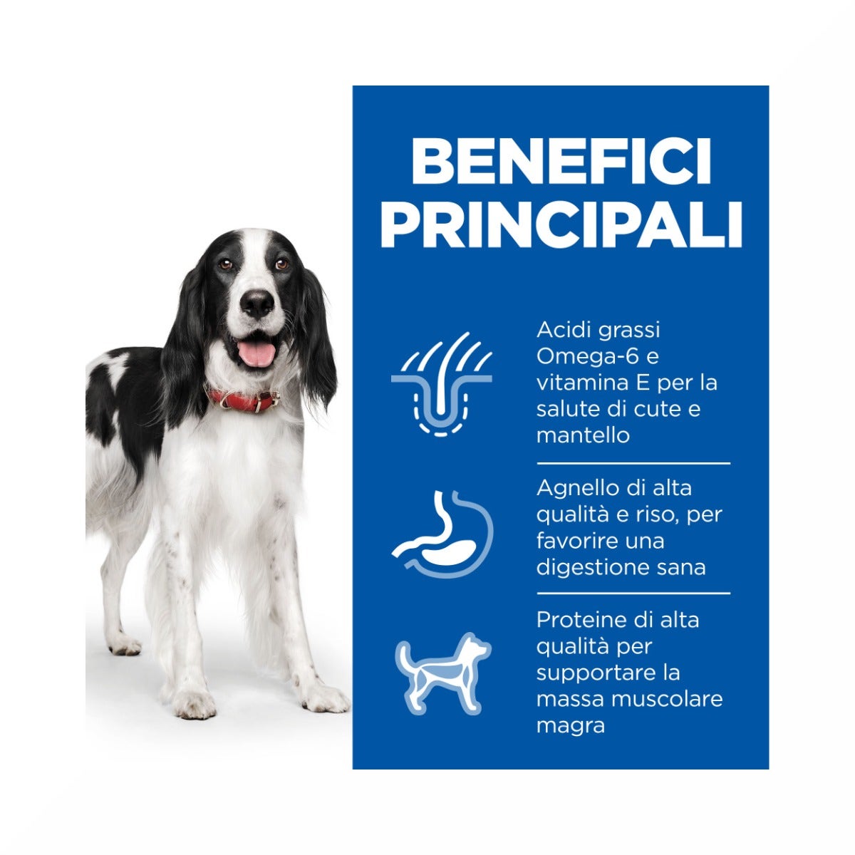 Hill's Science Plan Medium Adult Crocchette con Agnello e Riso per Cani  Sacco 14 Kg
