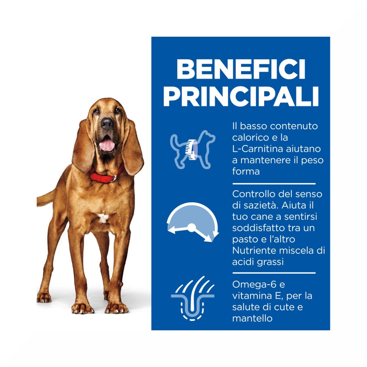 Hill's Science Plan Light Mature Adult Crocchette Con Pollo Per Cani Taglia Media Sacco 14Kg