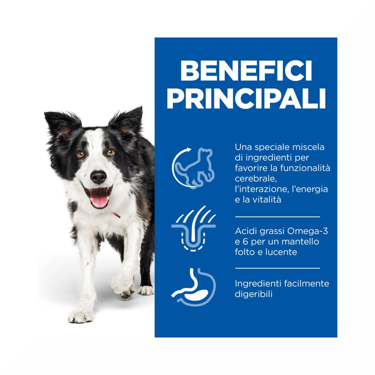 Hill's Science Plan Senior Vitality Mature Adult 7+ Crocchette Con Pollo E Riso Per Cani Taglia Media 12Kg