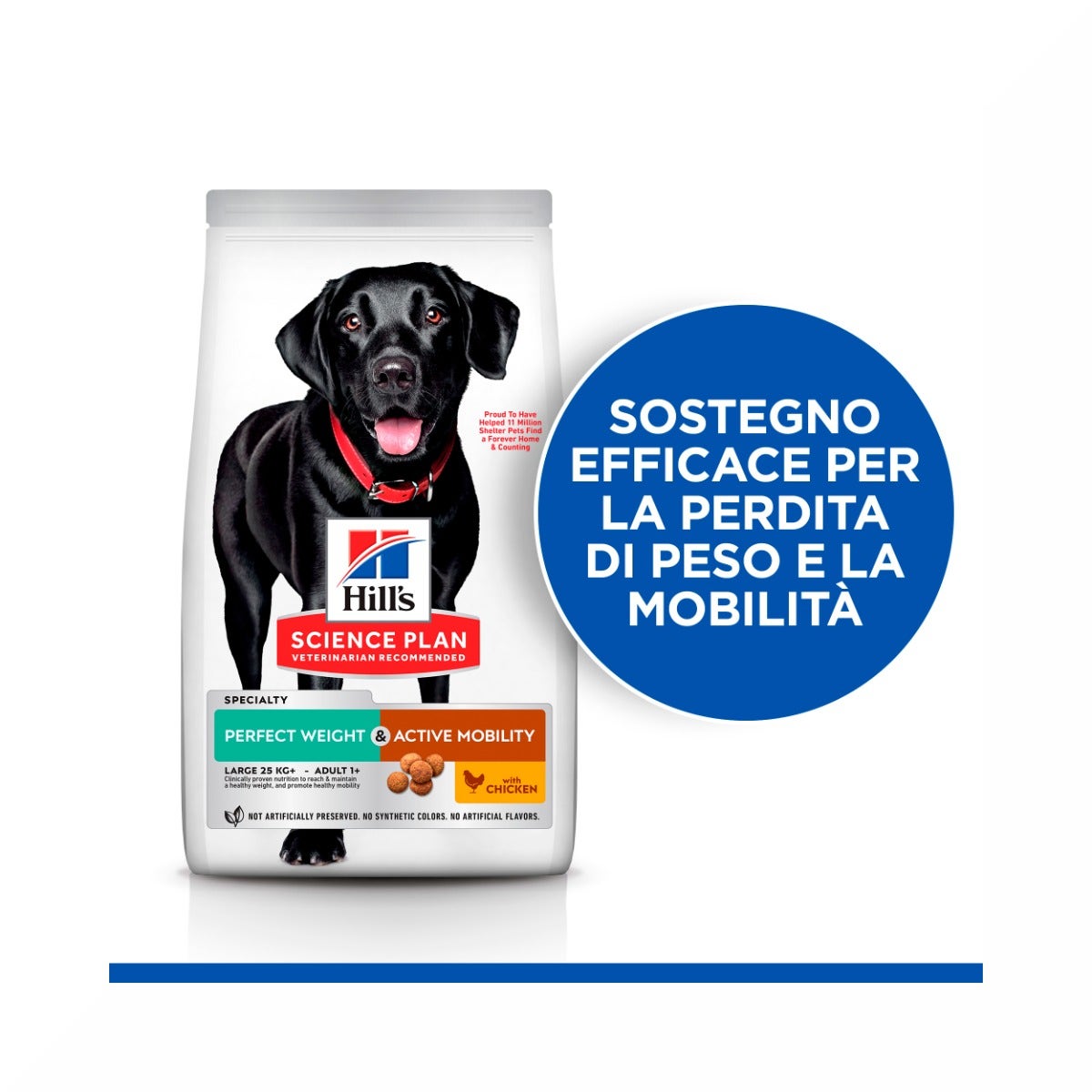 Hill's Science Plan Perfect Weight & Active Mobility Adult Crocchette Con Pollo Per Cani Taglia Grande Sacco 12 Kg