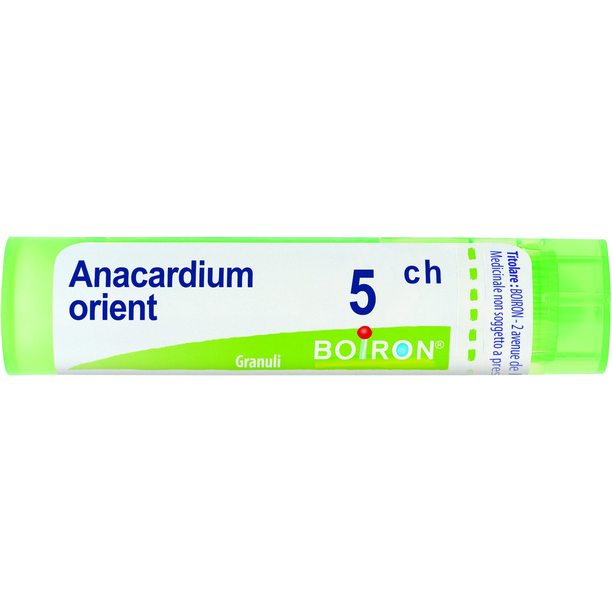Boiron Anacardium Orientale 05Ch Tubo Granuli 4g-1