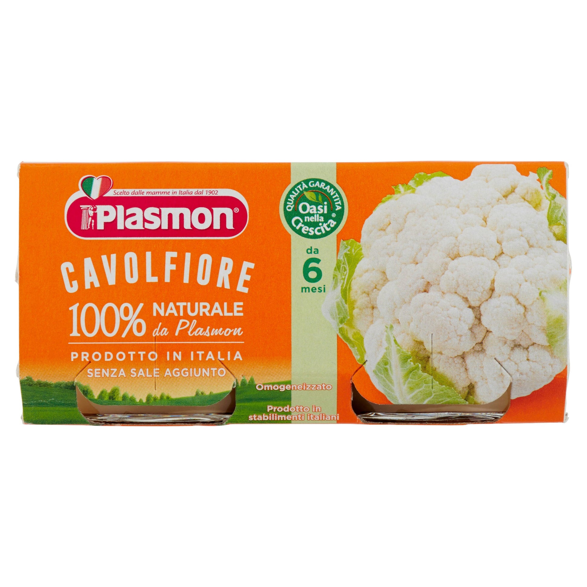 Coliflor Homogeneizada Plasmon 2x80g-1