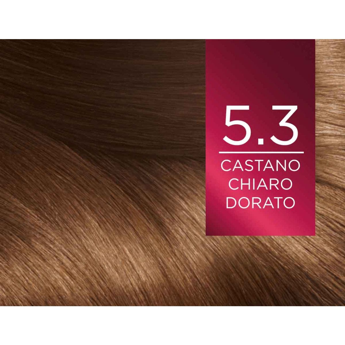L'Oréal Paris Excellence Hair Color 5.3 Light Golden Brown 1 Unidad-3