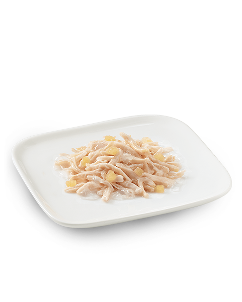 Schesir Pollo Con Manzana Comida Húmeda Perros Adultos Lata 150 g-3
