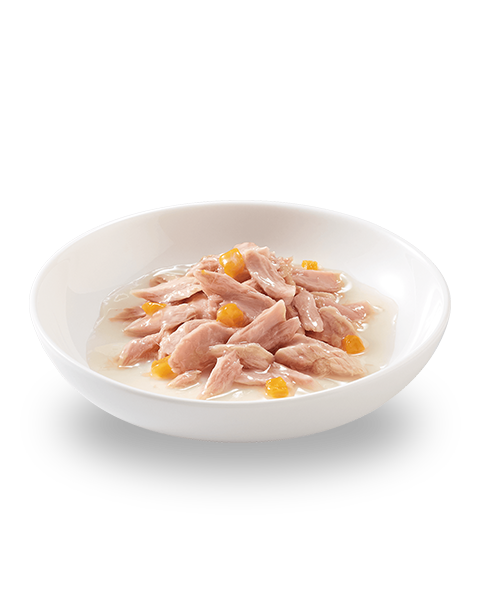Schesir Atún Con Calabaza Lata Comida Húmeda Gato Adulto 70g-3