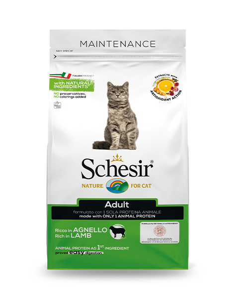 Schesir Adult Croquetas Gatos Adultos Ricas En Cordero Bolsa 400 g-2