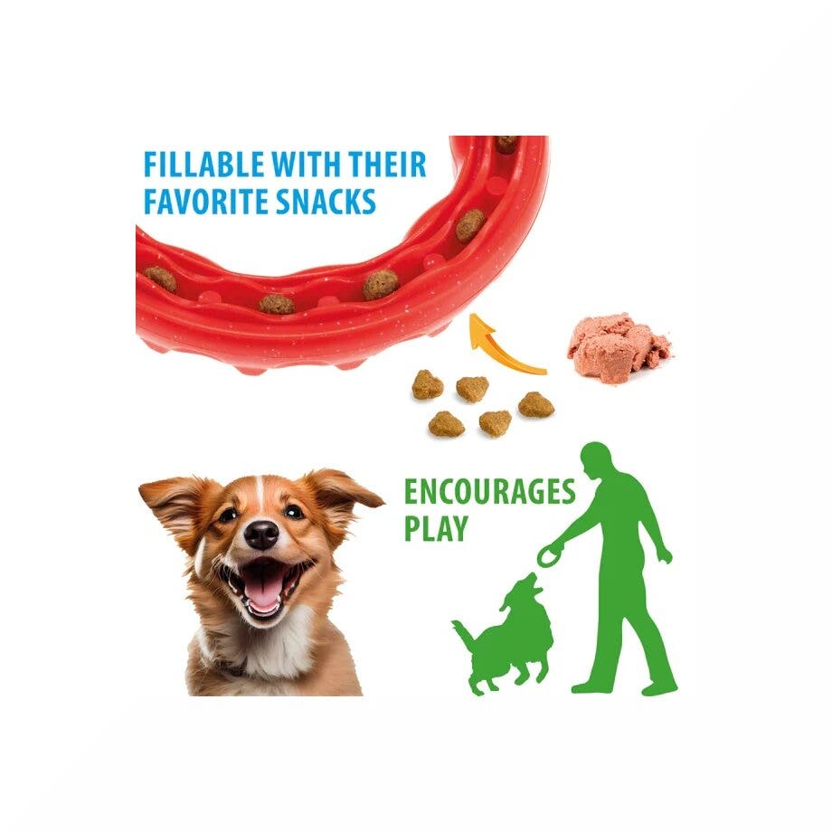 Ferplast Smile Ring Gioco Dentale Anello Taglia Large Rosso Per Cani