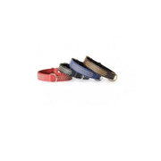 Collar Con Tachuelas Camon Para Perros Color Azul 30x600mm-1