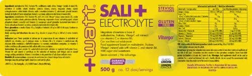 Sali+ Electrolyte Limone 500g