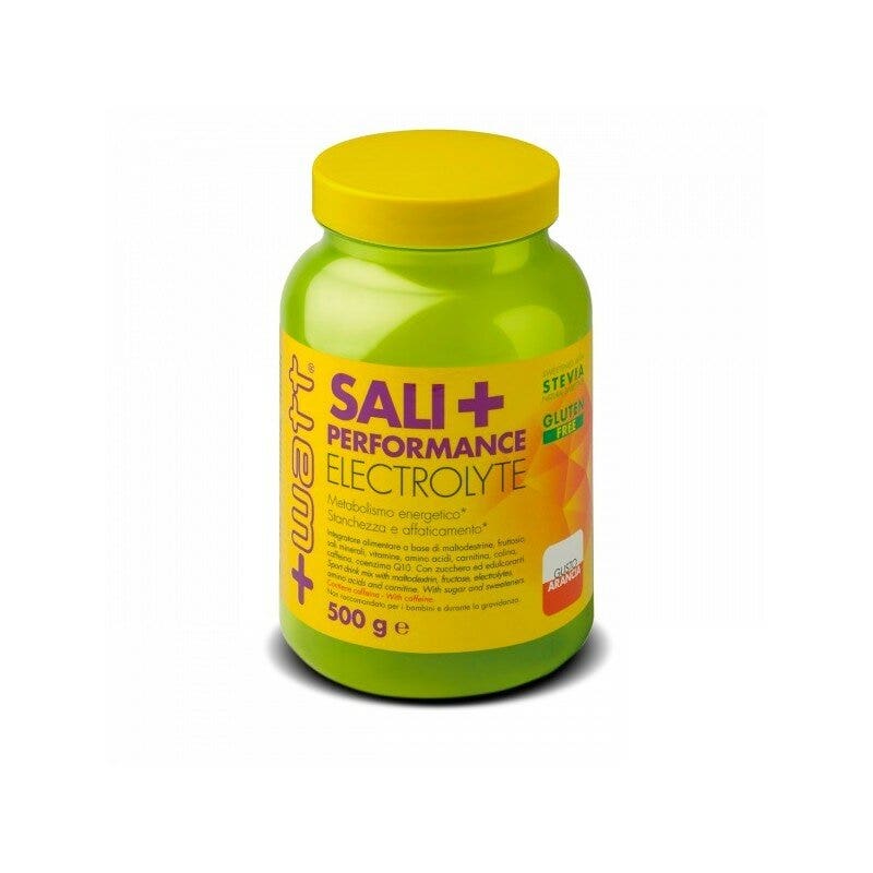 Sali+ Perfomance Electrolyte Gusto Limone 500g