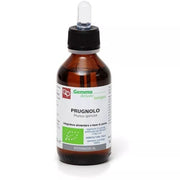 Fitomedical Derivado biológico de brotes de endrino 100 ml