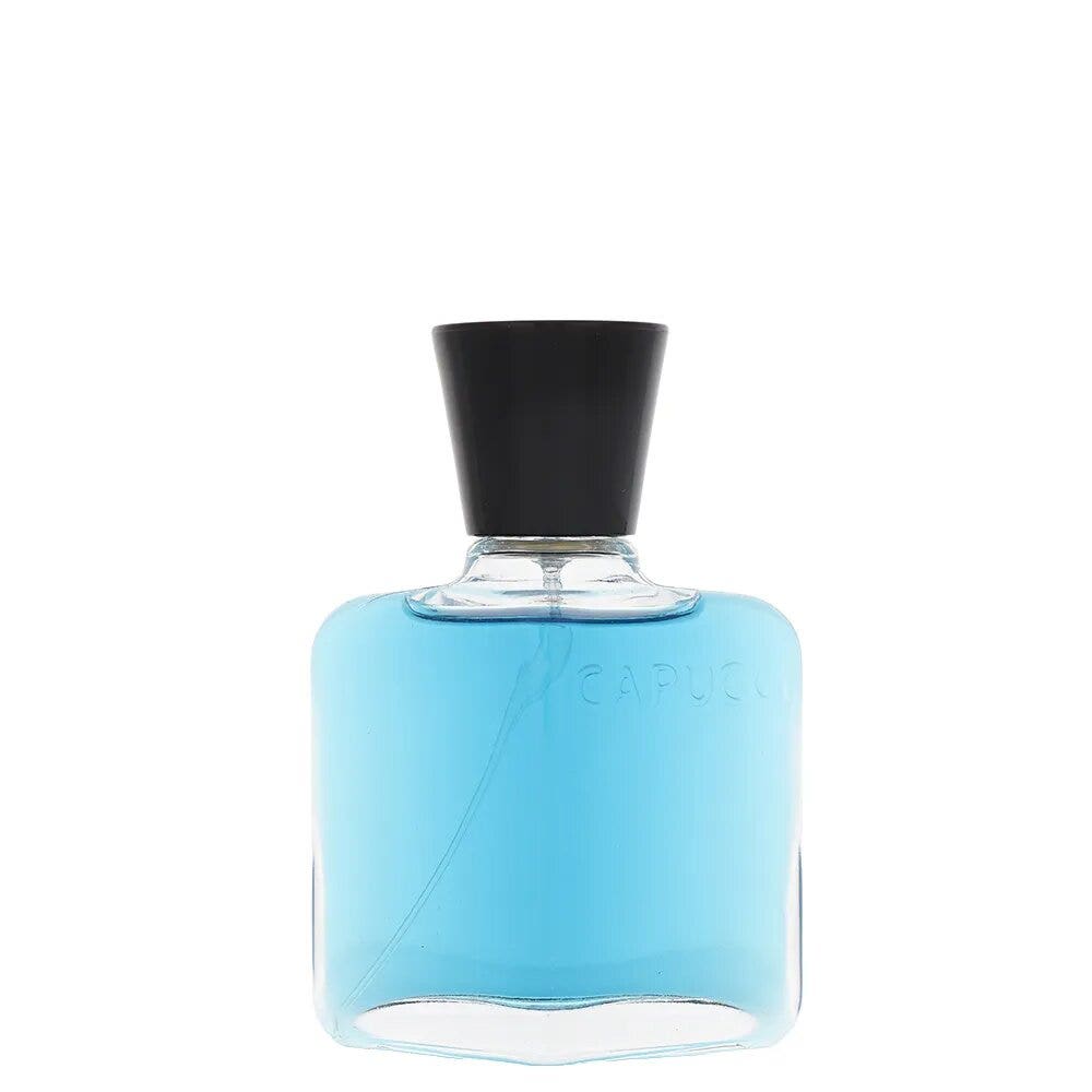 Roberto Capucci Blue Water para hombre Eau de Parfum 100 ml