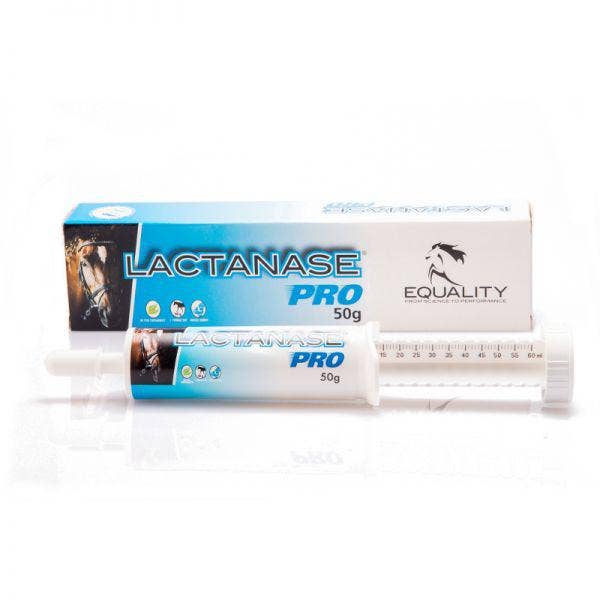 Lactanase Pro Pasta Oral Para Equinos Deportivos Jeringa 50g-1