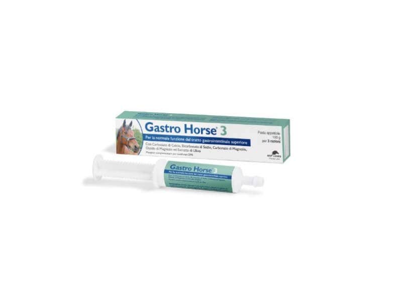 Nbf Lanes Gastro Horse 3 Pasta para el tracto gastrointestinal equino 100g-1