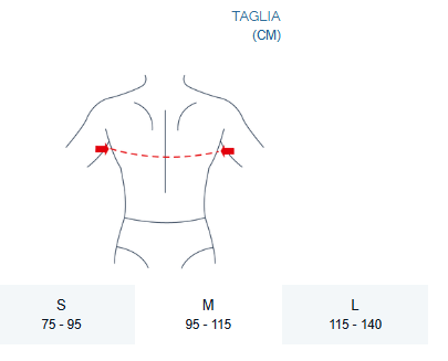 Pavis Faja torácica, ref. 811