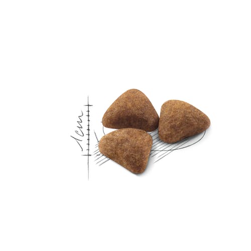 Royal Canin Feline Home Life Indoor 27 Alimento seco para gatos bolsa de 2 kg-3