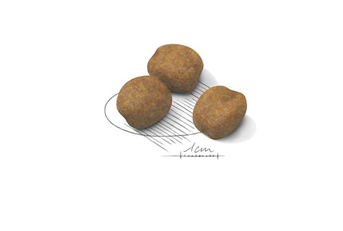 Royal Canin Giant Puppy Pienso para Cachorros Tamaño Gigante Bolsa 15kg Hasta 8 Meses-3