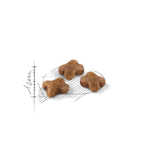 Royal Canin Feline Second Age Kitten Croquetas para Gatitos Bolsa 10kg-3