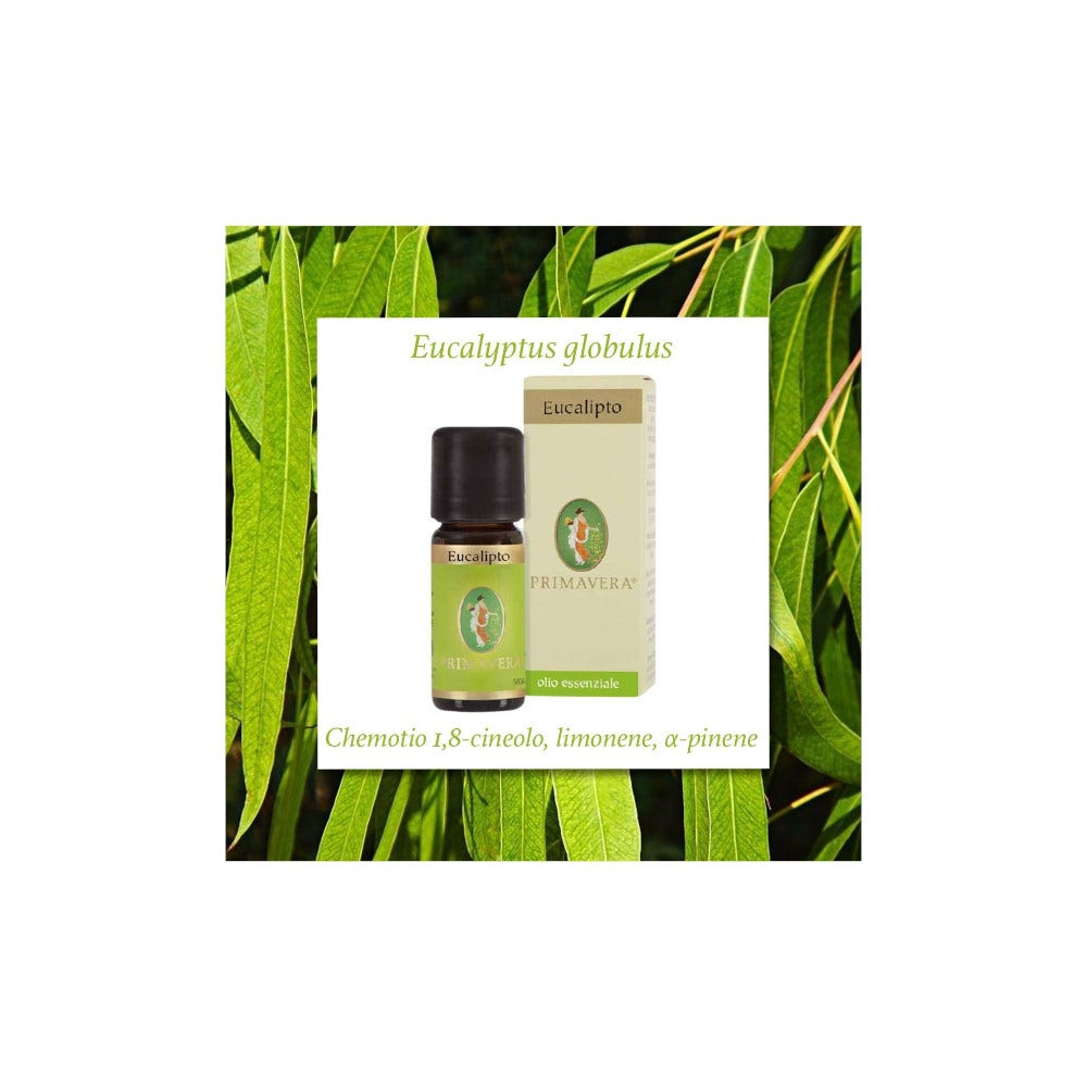 Aceite Esencial de Eucalipto Bio 10ml-4
