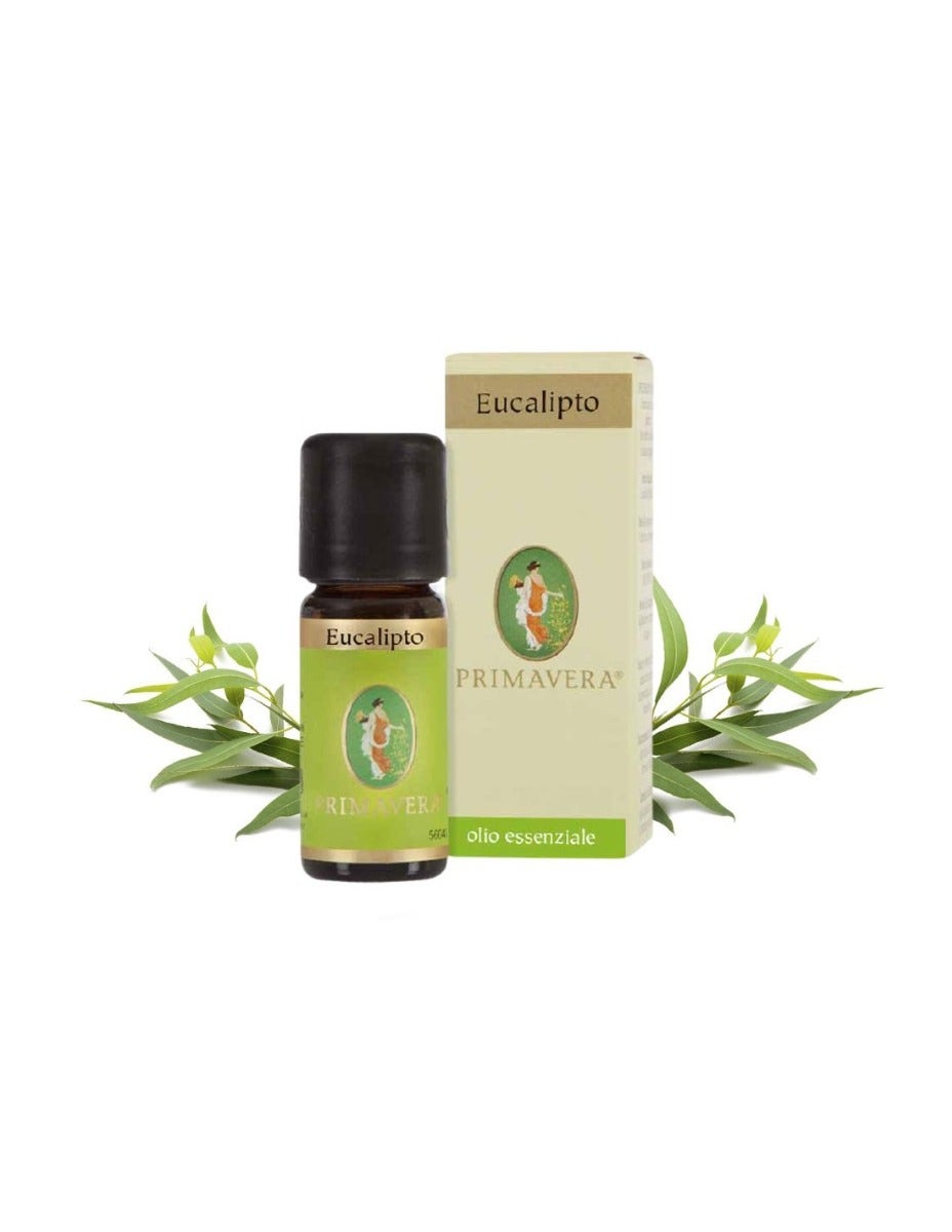 Aceite Esencial de Eucalipto Bio 10ml-5