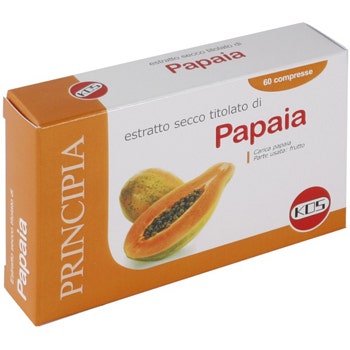 Extracto Seco De Papaya 60 Comprimidos-2