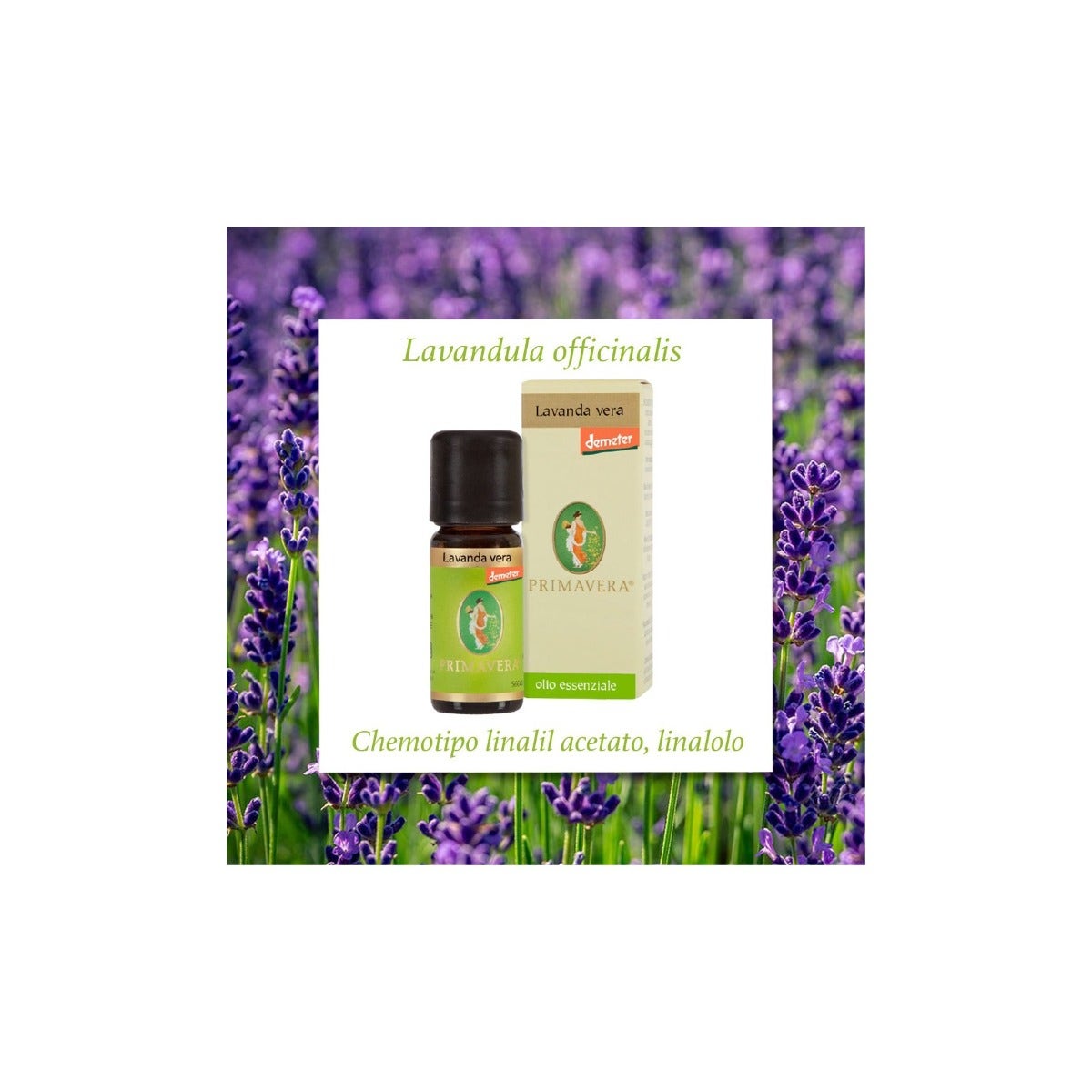 Aceite Esencial de Lavanda Real Bio 10ml-3