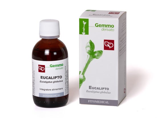 Eucalipto Macerado Glicerinado 50ml-2